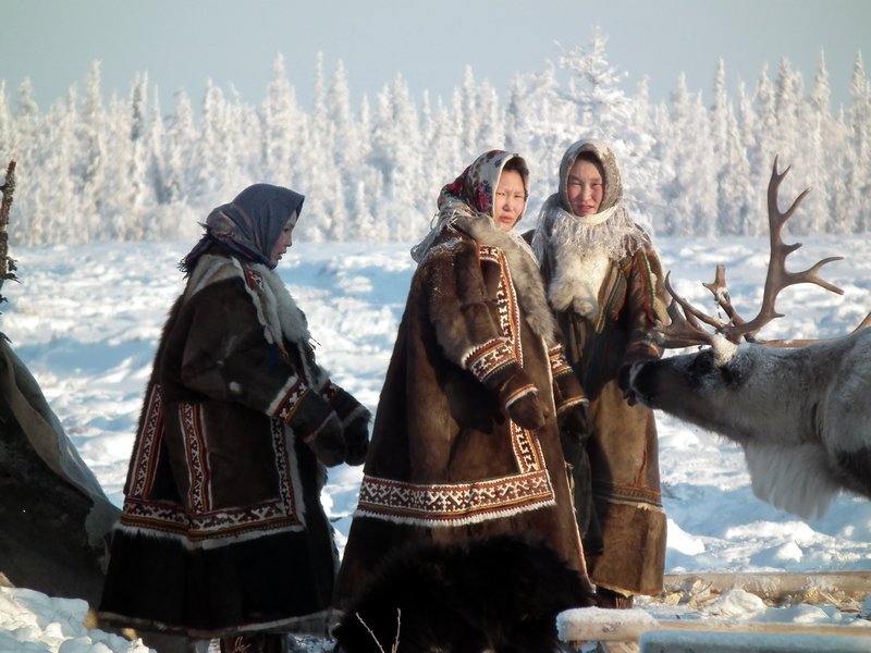 Nomadic Nenets women at their encampment in the tundra, Nadym Region, Siberia