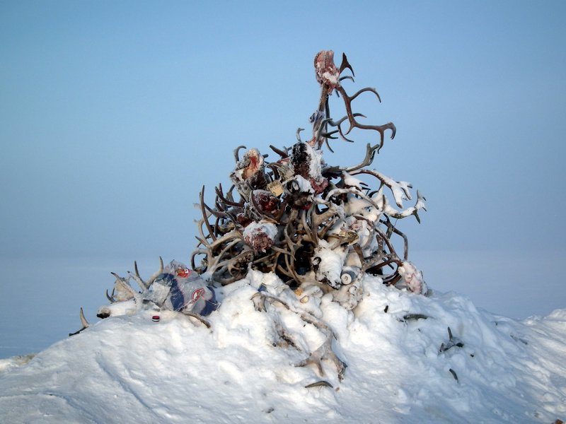 A Nenets sacred site on the Yamal Peninsula, Siberia