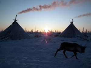 Building a chum with Siberia's Nenets nomads