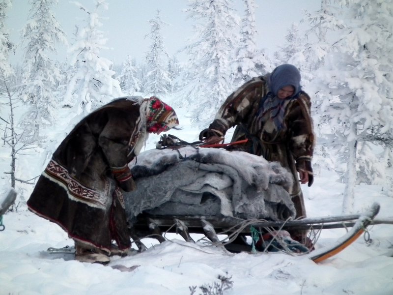 Nenets people packing a sledge, Nadym Region, Siberia