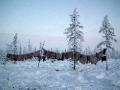 Reindeer skins, Nadym Region, Siberia