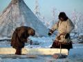 Nenets people making floor boards for a chum, Nadym Region, Siberia
