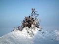 A Nenets sacred site on the Yamal Peninsula, Siberia