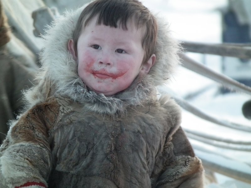 A Nenets boy after drinking blood and eating raw meat straight from a reindeer carcass, Nadym Region, Siberia