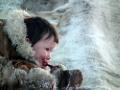 A little Nenets boy eating raw meat straight from a reindeer carcass, Nadym Region, Siberia