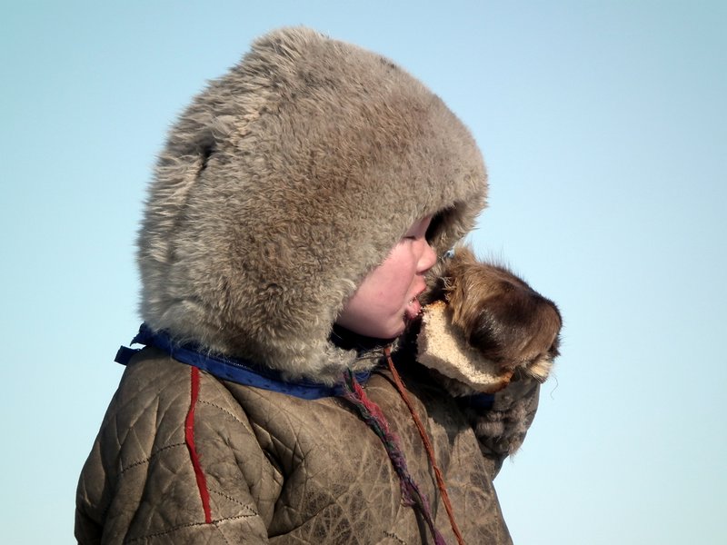 Nenets child, Yamal Peninsula, Arctic Siberia