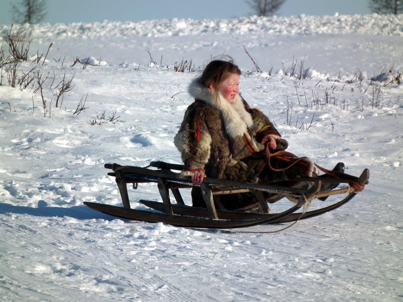 Nenets girl on a toy sledge, Yamal Peninsula, Arctic Siberia