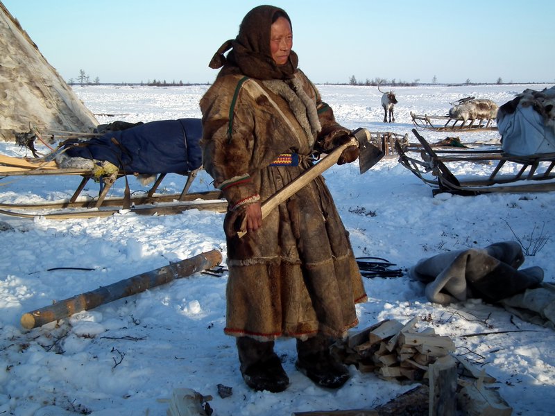 Nenets woman cutting firewood, Yamal Peninsula, Arctic Siberia