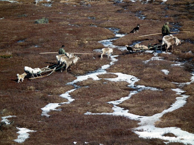 Saami reindeer herders, Lovozero Region, Kola Peninsula, Arctic Russia