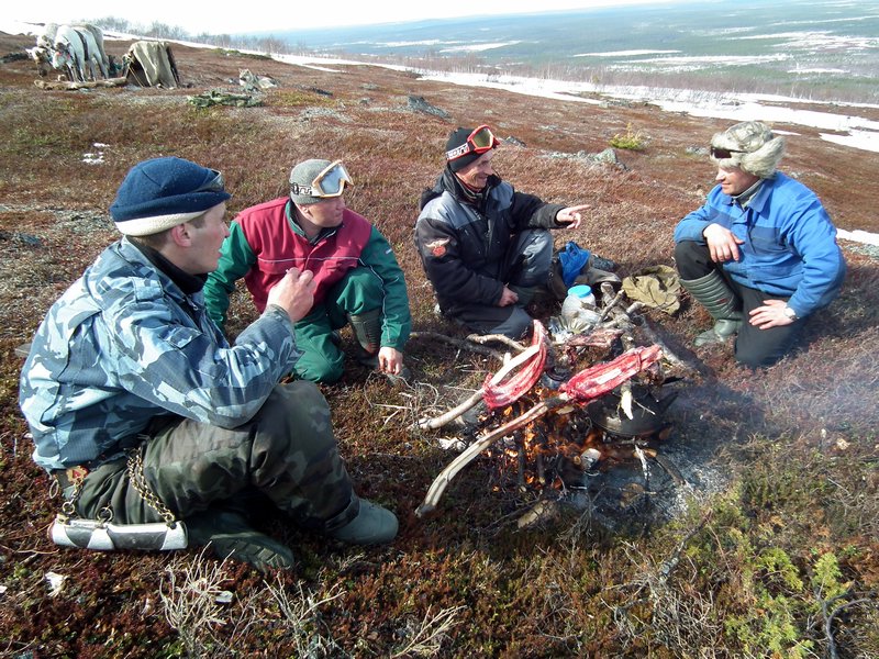 Saami reindeer herders barbecuing reindeer meat, Lovozero Region, Kola Peninsula, Arctic Russia
