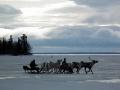 Saami reindeer herders riding a sledge on a frozen lake, Lovozero Region, Kola Peninsula, Arctic Russia