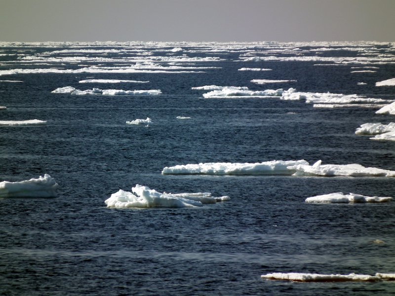 The White Sea ice melting in May off the Tersky Coast, Kola Peninsula, Arctic Russia