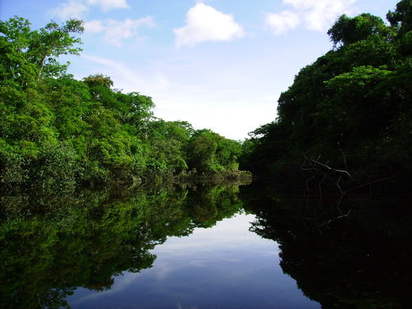 Yarapa River