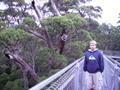 Phil on the Treetop walk