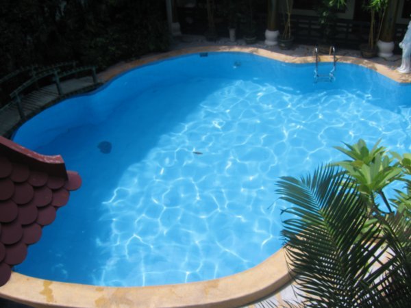 Our pool