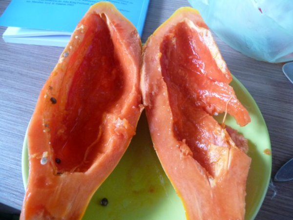 papajowy szal