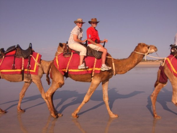 Happy Camel Riders