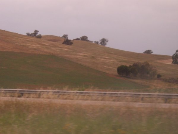 2 Scenery on our way to Echuca