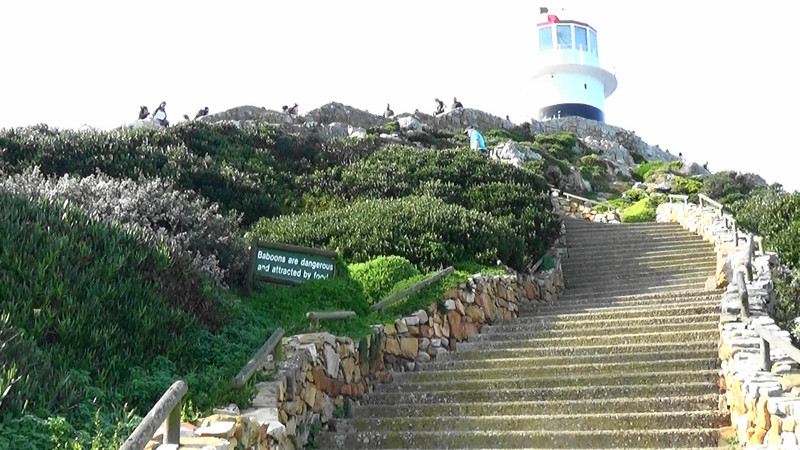 The steps and path ahead to the lighthouse