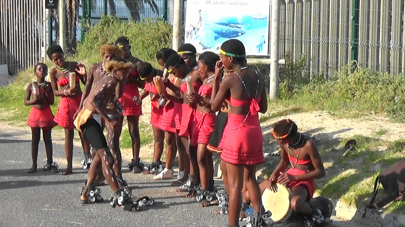 Dancers at the entrance to the penguin colony,Simonstown
