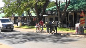 Cycle transport of goods between Zambia and Zimbabwe