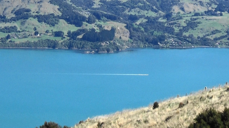 Akaroa Harbour enroute to the Heads