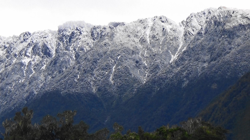 The snow at the lower level had fallen through the night,Fox Glacier