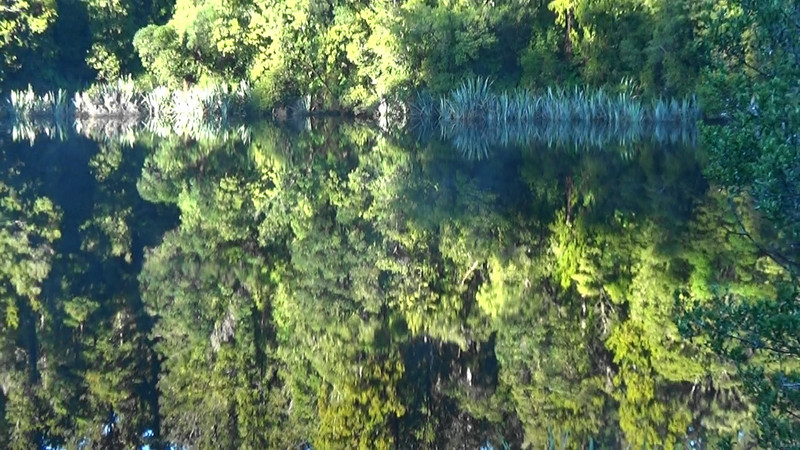 Reflections at Reflection Island,Lake Mathieson