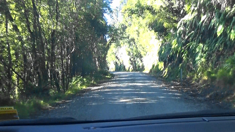 On the road from Gillespies Beach