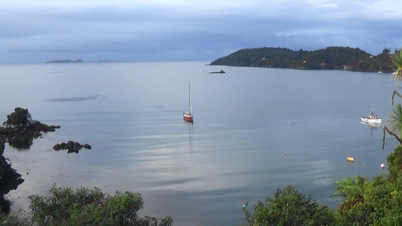 The view from our terrace at Rose Cottage,Stewart Island