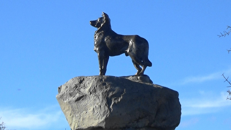 Memorial to the working Collie dog,Lake Tekapo