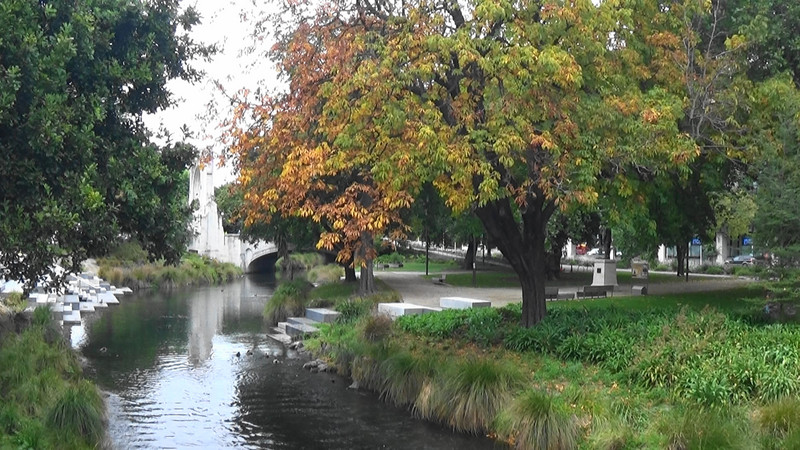 Autumn tints on the Avon River