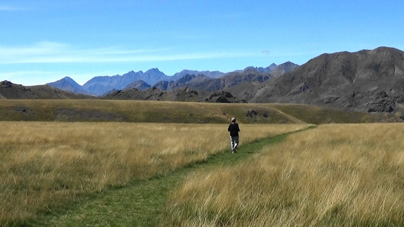 On the way back to the car and the Inland Kaikoura range