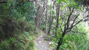 Tackling the Majuba Trail towards Conical Hill