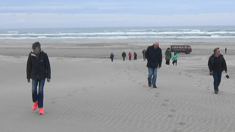 Climbing the highest sand dune on Farewell Spit