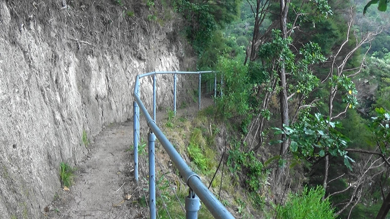 The track to Wainui Falls narrows