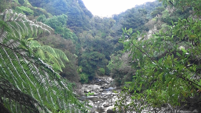 On the trail to Wainui Falls
