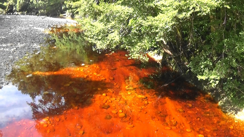 Tea coloured Oparara River