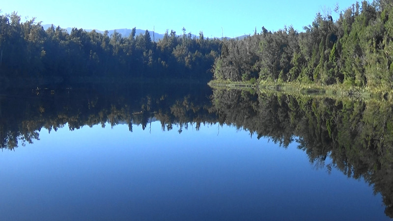 Reflections at Lake Hanlon