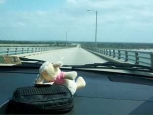 Murray enjoying the drive on the Chesapeake bridge
