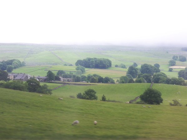 Countryside from train
