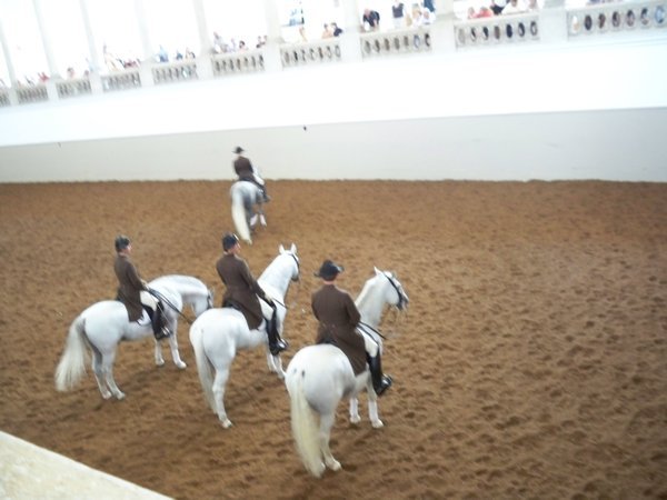 Spanish Riding School,Vienna
