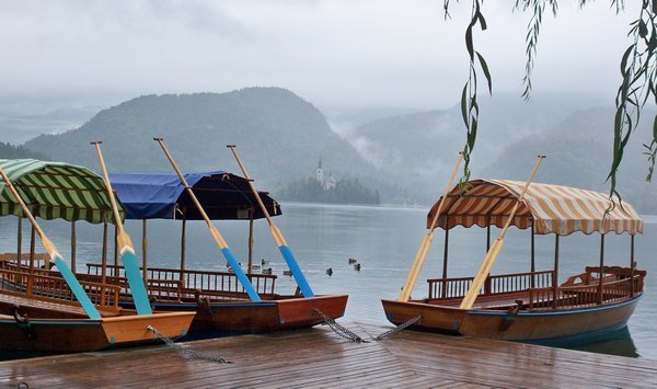 Rainy day at Lake Bled,Slovenia