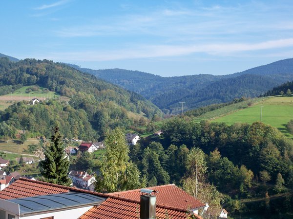 The view from our apatment towards the Black Forest