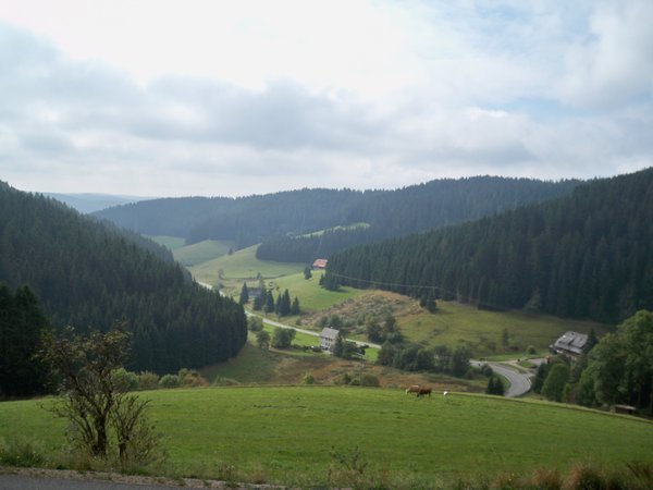 View over the Black Forest