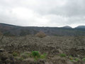 Lava field on Mt Etna slopes at 1000metres