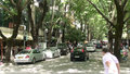Leafy street scene,Tirana near US embassy