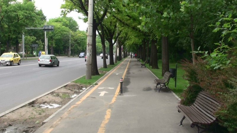 Wide streets and plenty of green leafy trees
