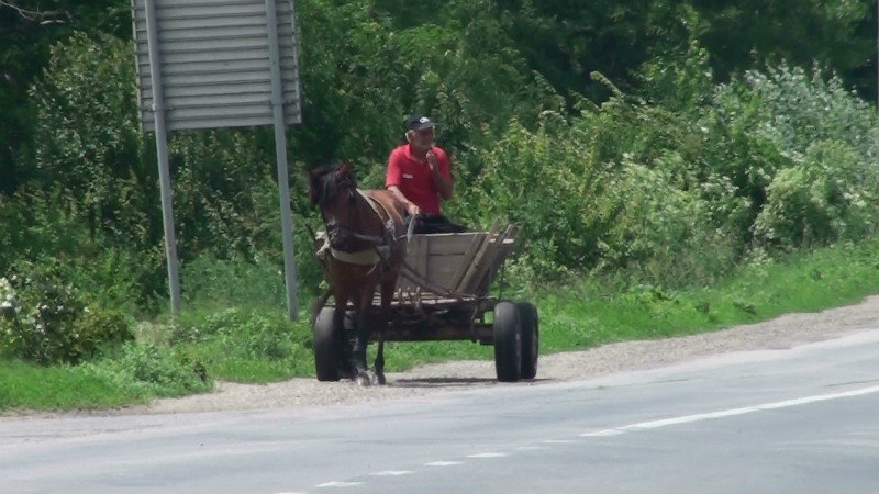 Horse and cart on the highway