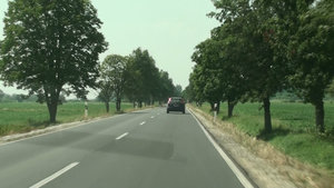 Another 'avenue of trees'common in rural Europe making for pleasant on the eye driving